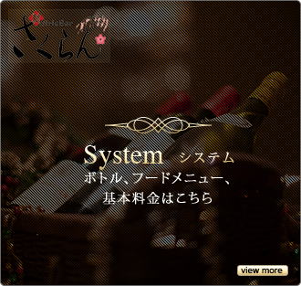 System